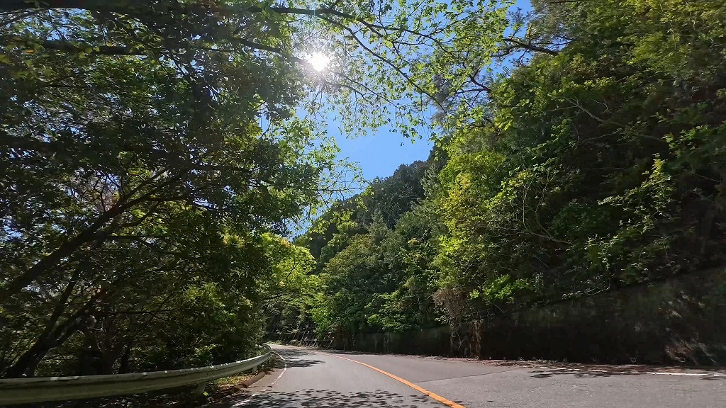 国道260号 南伊勢